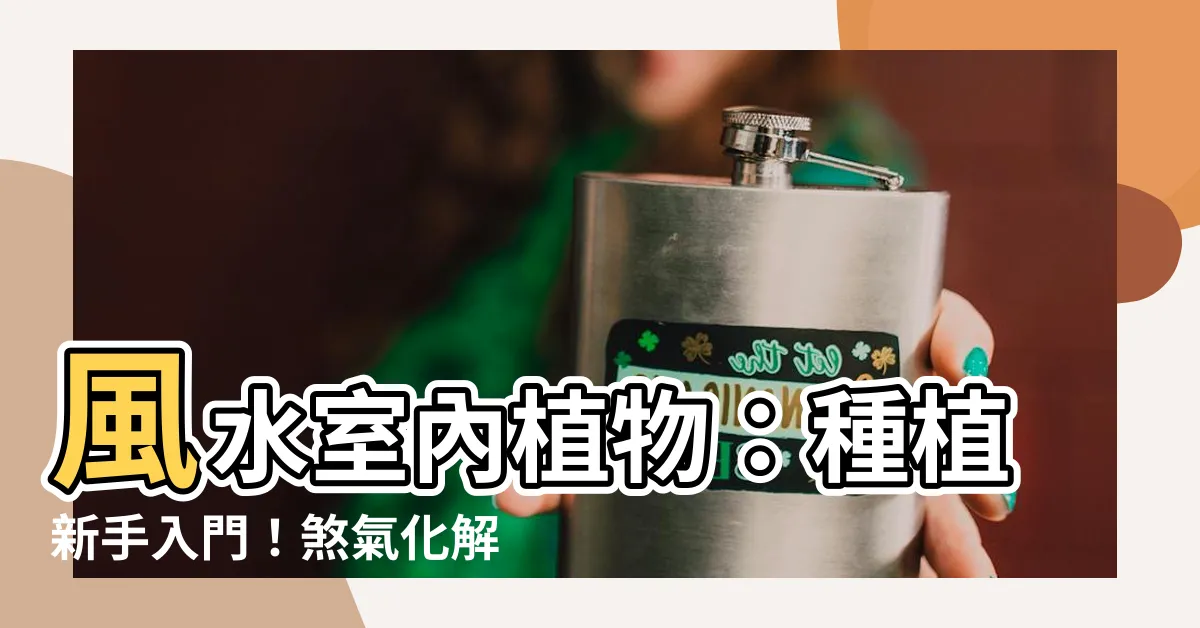 【風水 水種植物】風水室內植物：種植新手入門！煞氣化解10法、招財改運
