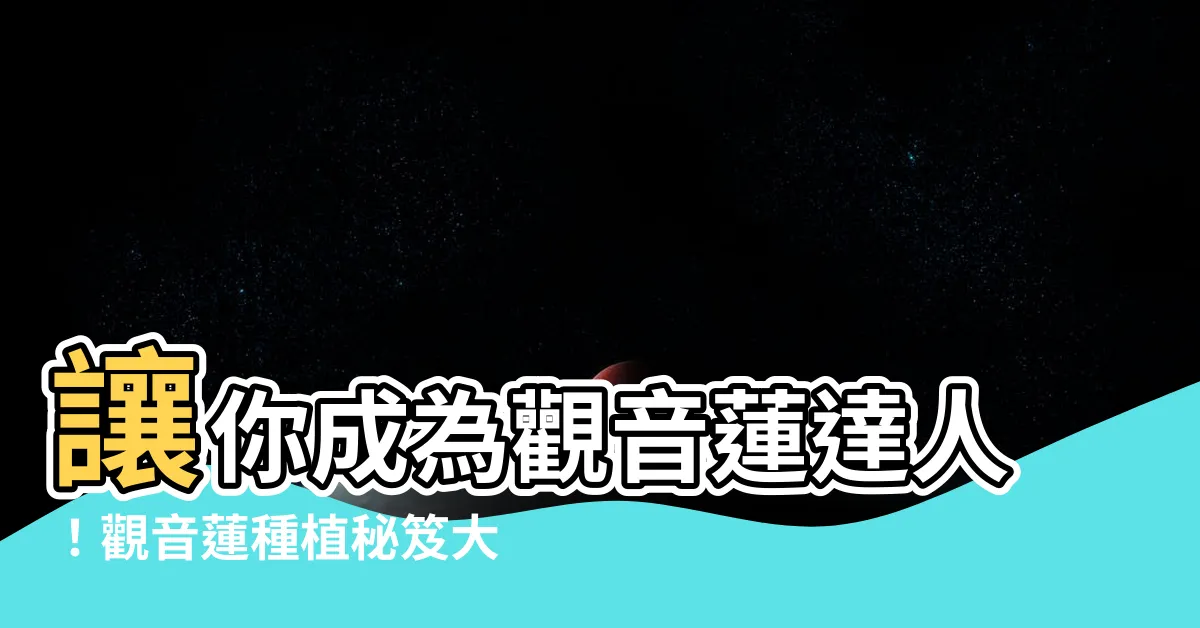 【觀音蓮種植】讓你成為觀音蓮達人！觀音蓮種植秘笈大公開