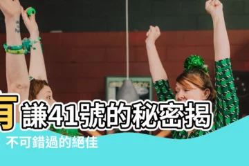 【有謙41】有謙41號的秘密揭曉：不可錯過的絕佳投資機會！