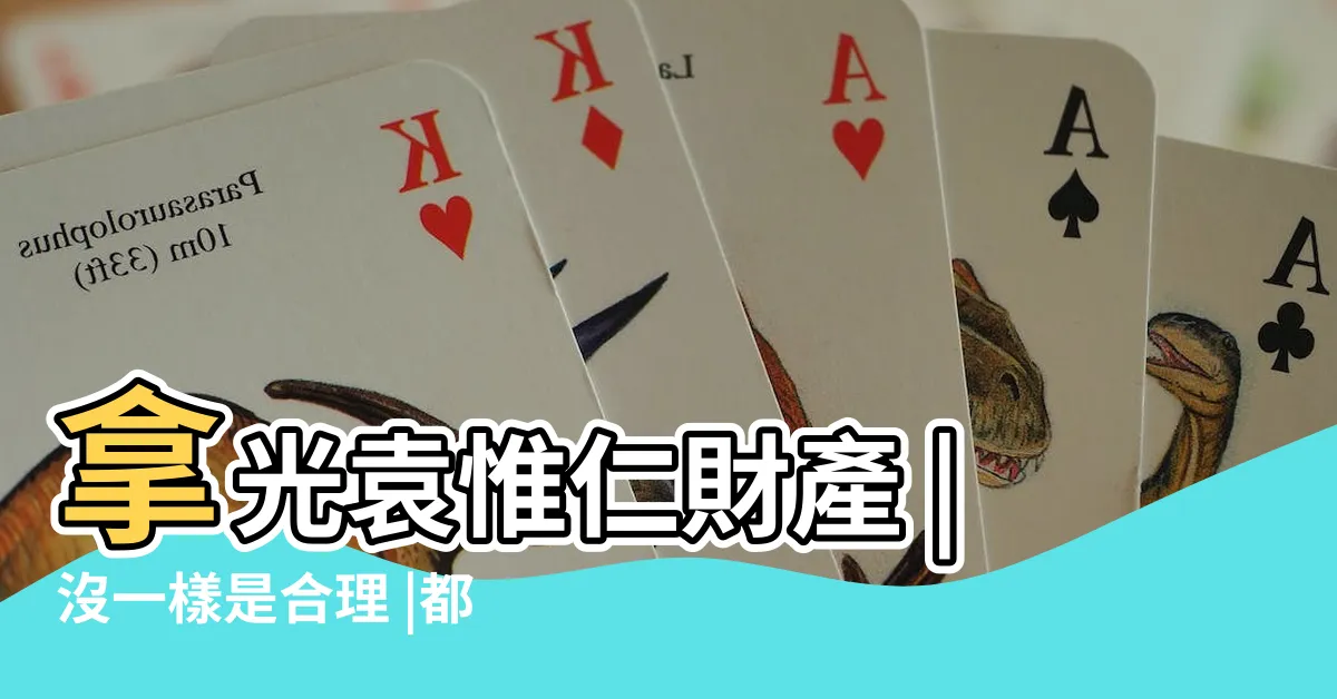 【袁惟仁財產】拿光袁惟仁財產 |沒一樣是合理 |都是負債 |