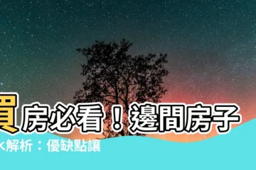 【邊間房子風水】買房必看！邊間房子風水解析：優缺點讓你住得更安心