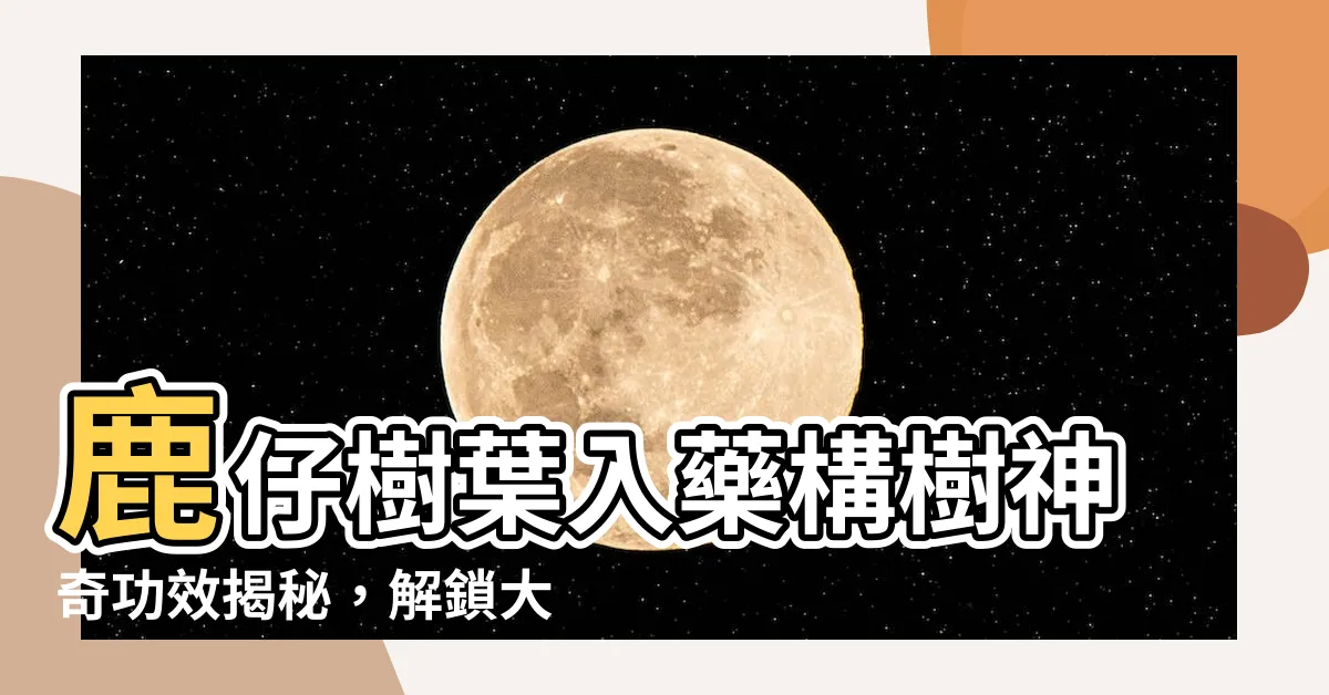 【鹿仔入藥構樹功效】鹿仔樹葉入藥構樹神奇功效揭秘，解鎖大自然草本生技奧秘