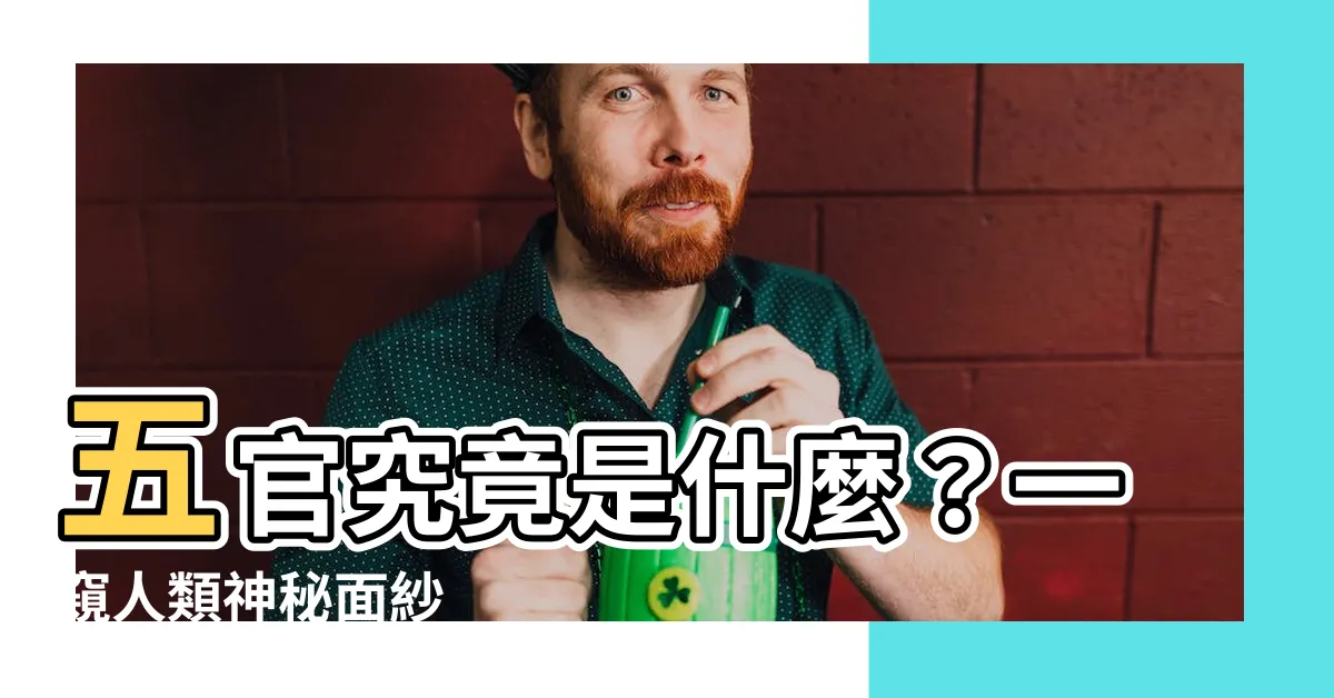 【五官是什麼】五官究竟是什麼？一窺人類神秘面紗