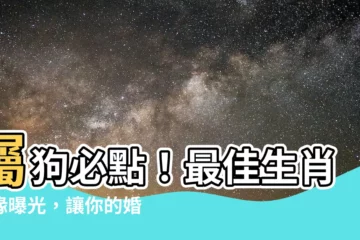 【屬狗適合的生肖】屬狗必點！最佳生肖姻緣曝光，讓你的婚姻幸福美滿