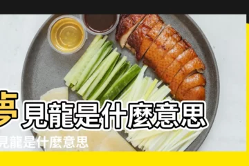 【做夢 龍】夢見龍是什麼意思 |夢見龍是什麼意思有什麼預兆 |做夢夢見龍好不好 |