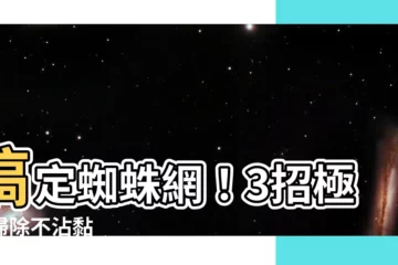 【蜘蛛網清除】搞定蜘蛛網！3招極速掃除不沾黏