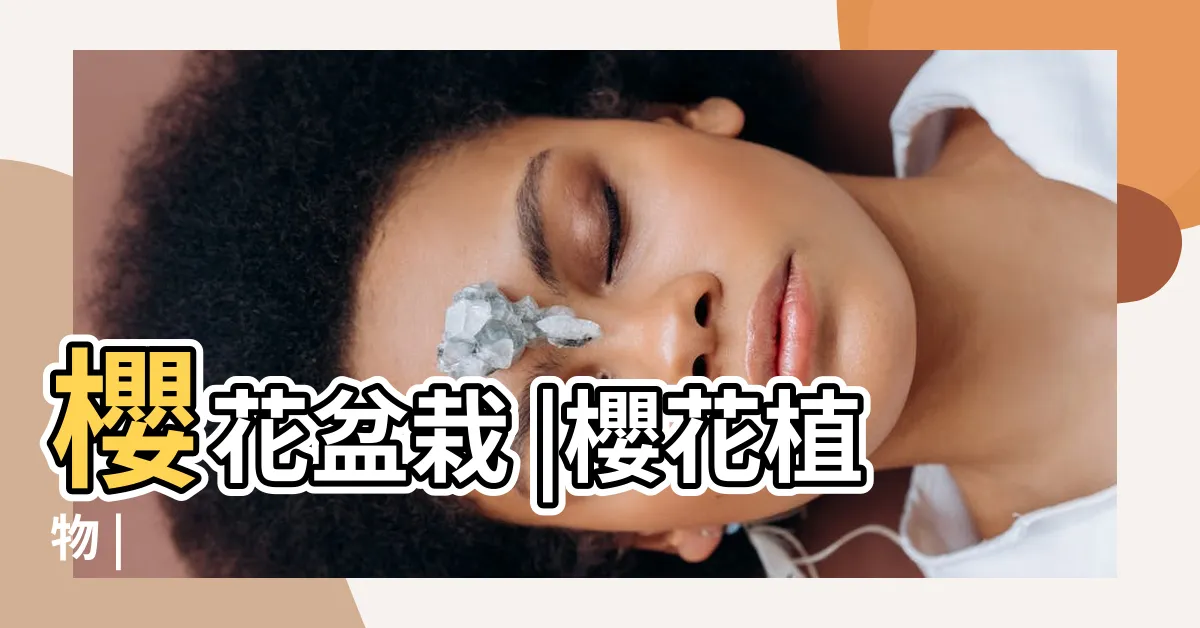 【櫻花盆栽】櫻花盆栽 |櫻花植物 |