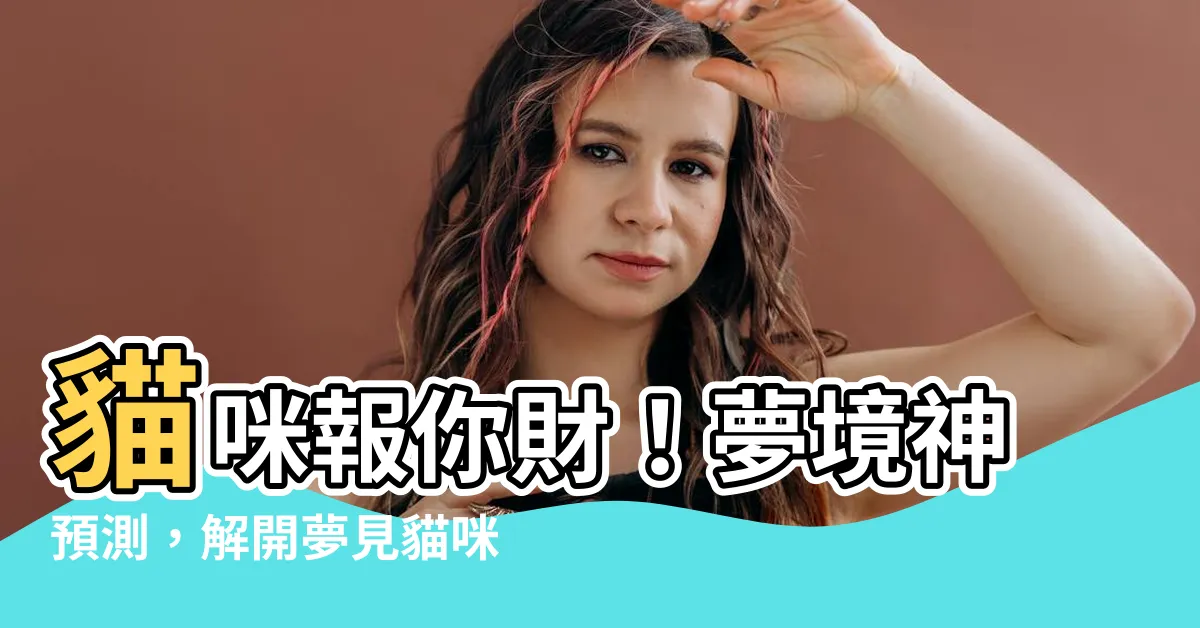【夢見貓號碼】貓咪報你財！夢境神預測，解開夢見貓咪的財富秘密！
