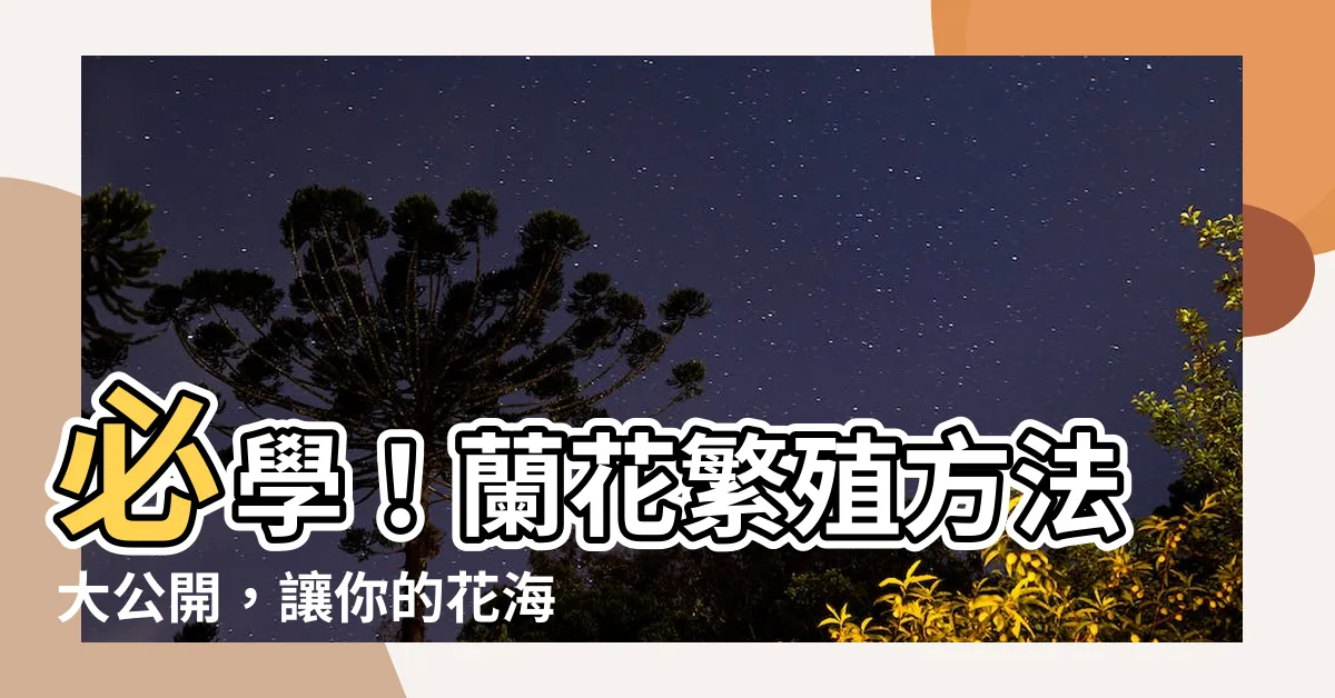 【蘭花的繁殖方法】必學！蘭花繁殖方法大公開，讓你的花海綻放驚艷