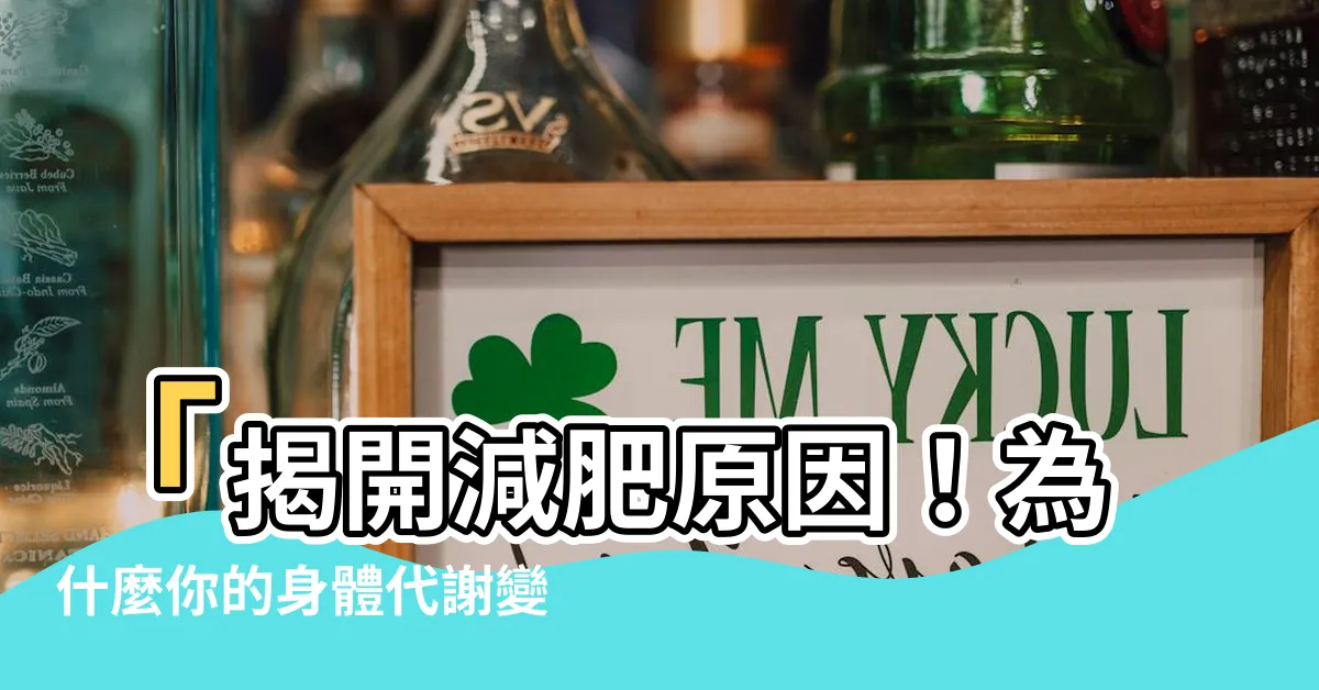 【想減肥的原因】「揭開減肥原因！為什麼你的身體代謝變慢？」