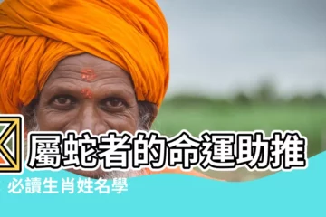 【屬蛇適合的字】🌟屬蛇者的命運助推器：必讀生肖姓名學，好名伴你一生！🌟