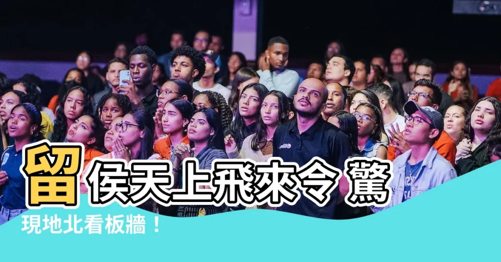 【是留侯橋邊拾起 看王令天上飛來】留侯天上飛來令 驚現地北看板牆！