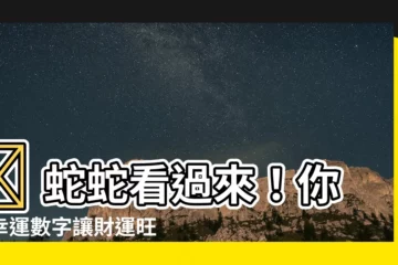 【蛇的代表數字】🤩 蛇蛇看過來！你的幸運數字讓財運旺到爆！ 🤩