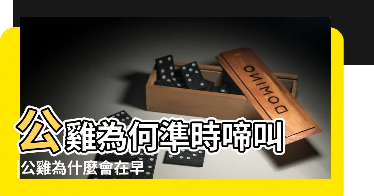 【公雞叫的原因】公雞為何準時啼叫 |公雞為什麼會在早上打鳴 |公雞怎知要在黎明喔喔啼 |