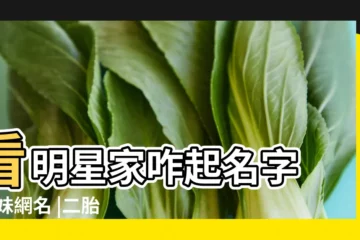 【2015姐妹扣名】看明星家咋起名字 |姐妹網名 |二胎取名有玄機 |
