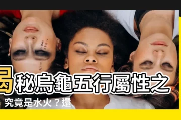 【烏龜屬性】揭秘烏龜五行屬性之謎：究竟是水火？還是金木？