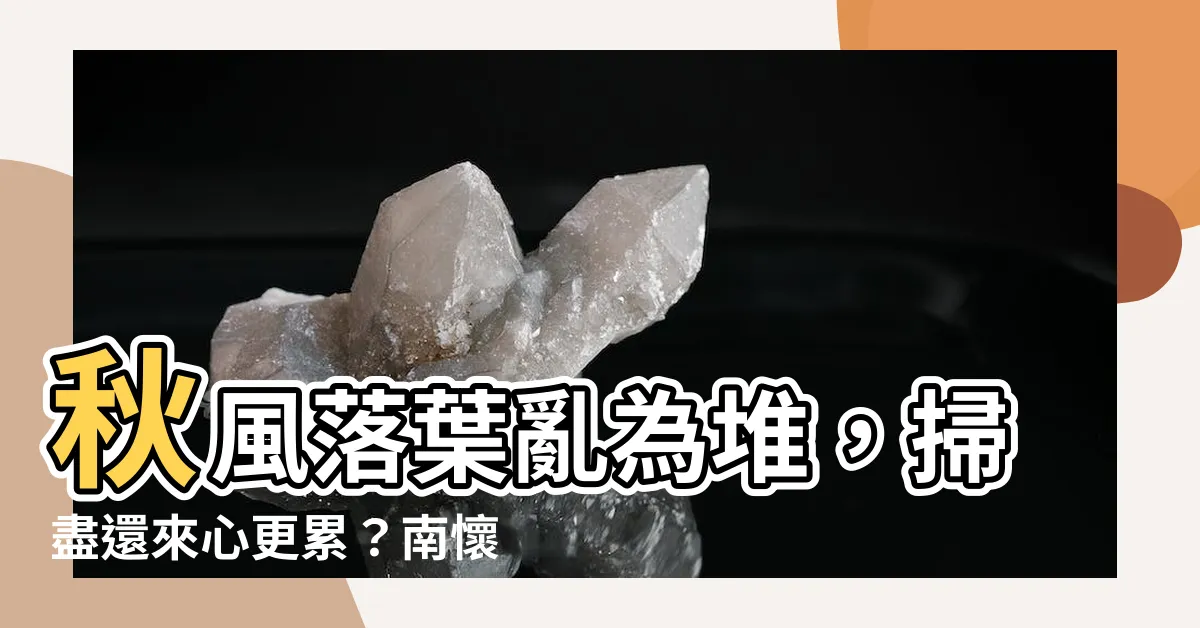 【秋風落葉亂為堆】秋風落葉亂為堆，掃盡還來心更累？南懷瑾教你這樣做