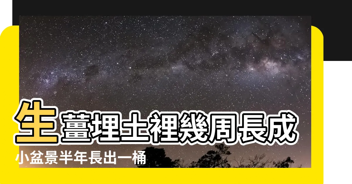 【薑盆栽】生薑埋土裡幾周長成小盆景半年長出一桶姜 |食材薑植鮮造型十足餐桌小盆栽 |食材變盆栽 |