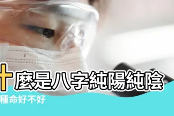 【什麼叫純陽八字】什麼是八字純陽純陰 |這種命好不好 |四柱八字純陰純陽 |
