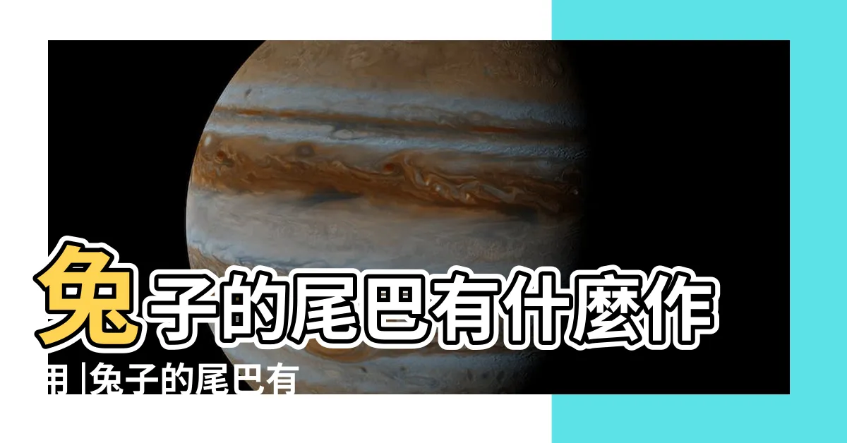 【兔子尾巴作用】兔子的尾巴有什麼作用 |兔子的尾巴有什麼作用 |兔子的尾巴有什麼作用 |