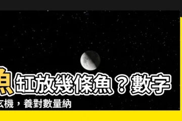 【魚缸 魚數量】魚缸放幾條魚？數字藏玄機，養對數量納福運