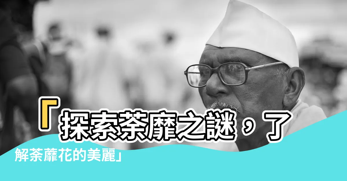 【荼靡是什麼花】「探索荼靡之謎，瞭解荼蘼花的美麗」