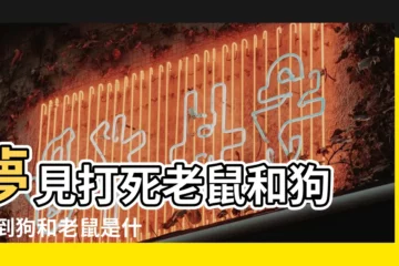 【夢到打死條狗和老鼠】夢見打死老鼠和狗 |夢到狗和老鼠是什麼意思 |做夢夢見打死狗好不好 |