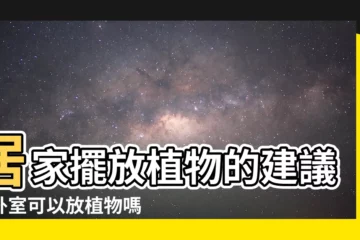 【卧室可以放植物嗎】居家擺放植物的建議：卧室可以放植物嗎？淨化空氣助眠又趨吉避兇