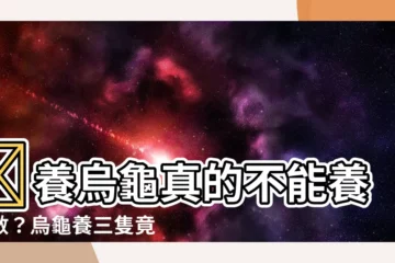 【烏龜養三隻】😨養烏龜真的不能養雙數？烏龜養三隻竟是最佳吉數！