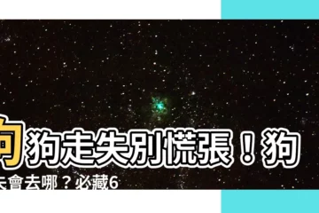【狗走失會去哪】狗狗走失別慌張！狗走失會去哪？必藏6大常規地點大公開