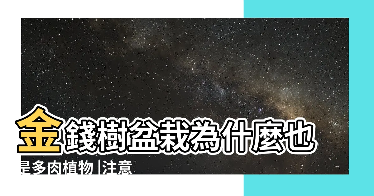 【金錢樹】金錢樹盆栽為什麼也是多肉植物 |注意四大要點新手都會養 |金錢樹照顧方法 |