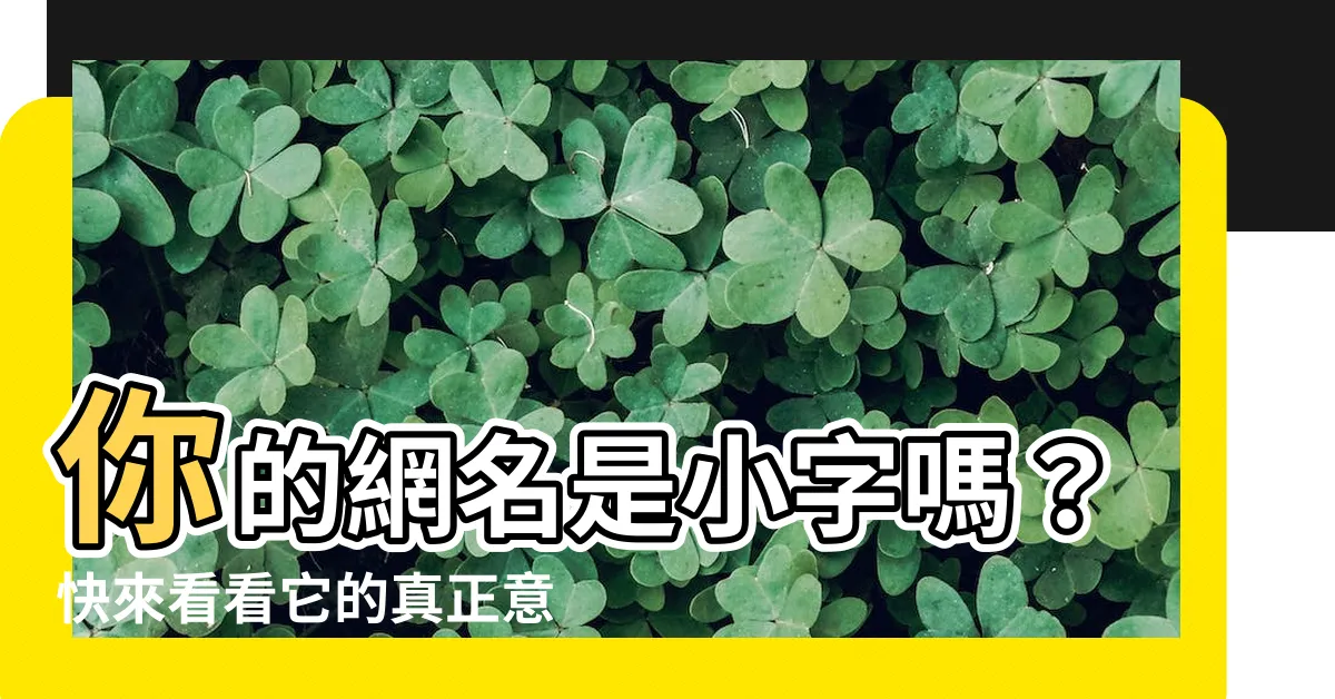 【小字 意思】你的網名是小字嗎？快來看看它的真正意思吧！