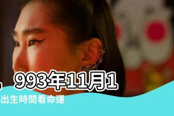 【1993年11月17日陽曆】1993年11月17日出生時間看命運 |公曆1993年11月17日是農曆幾月幾號 |1993年11月17日農曆多少號 |