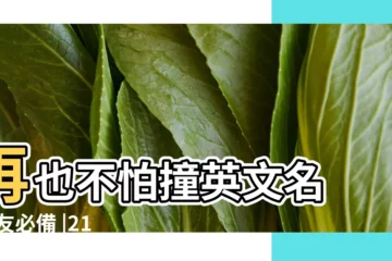 【英文名好看】再也不怕撞英文名 |交友必備 |21個洋氣十足的女生英文名 |