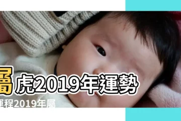 【2019年老虎財運怎麼樣】屬虎2019年運勢及運程2019年屬虎人的全年運勢 |屬虎2019年運勢及運程屬虎人2019年全年運勢 |2019年屬虎的財運在哪個方向最好 |