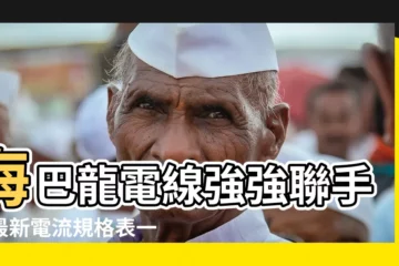 【海巴龍電線耐電流規格表】海巴龍電線強強聯手！最新電流規格表一次看！