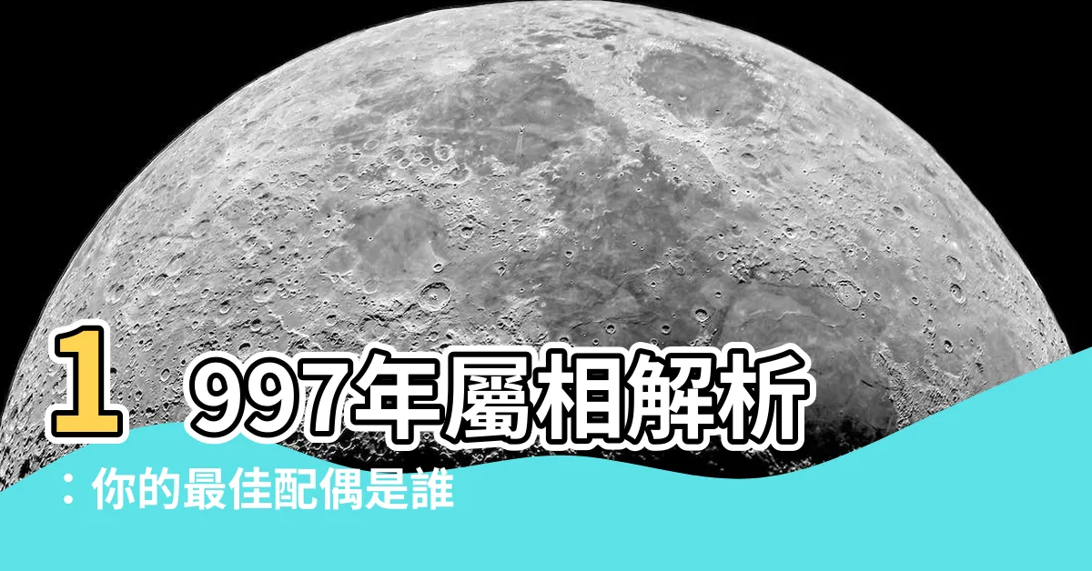 【1997年生效】1997年屬相解析：你的最佳配偶是誰？