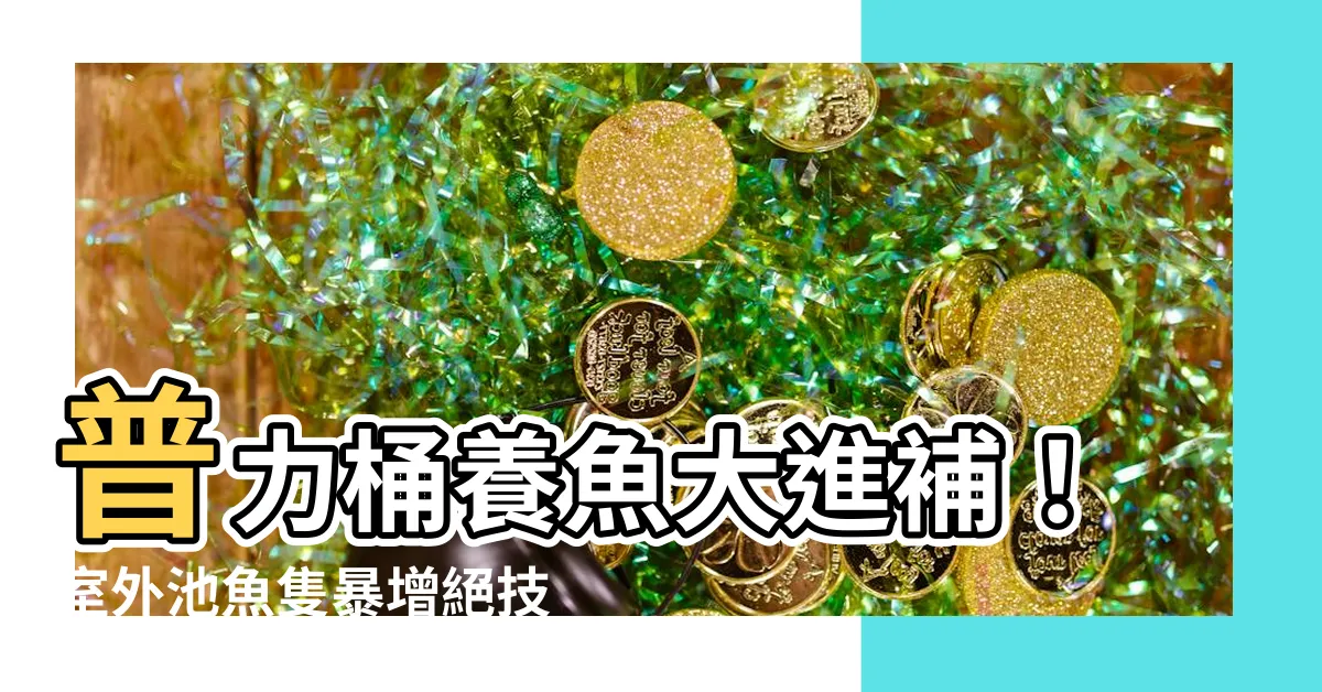 【普力桶養魚】普力桶養魚大進補！室外池魚隻暴增絕技公開