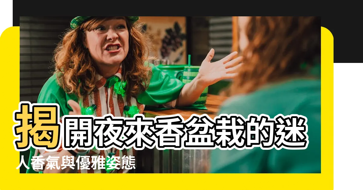 【夜來香盆栽】揭開夜來香盆栽的迷人香氣與優雅姿態