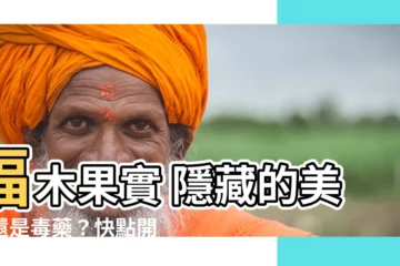 【福木果實能吃嗎】福木果實 隱藏的美味還是毒藥？快點開來瞧瞧！