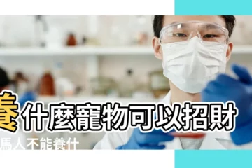 【屬馬可以養什麼寵物】養什麼寵物可以招財 |屬馬人不能養什麼寵物 |屬馬人適合養什麼寵物 |