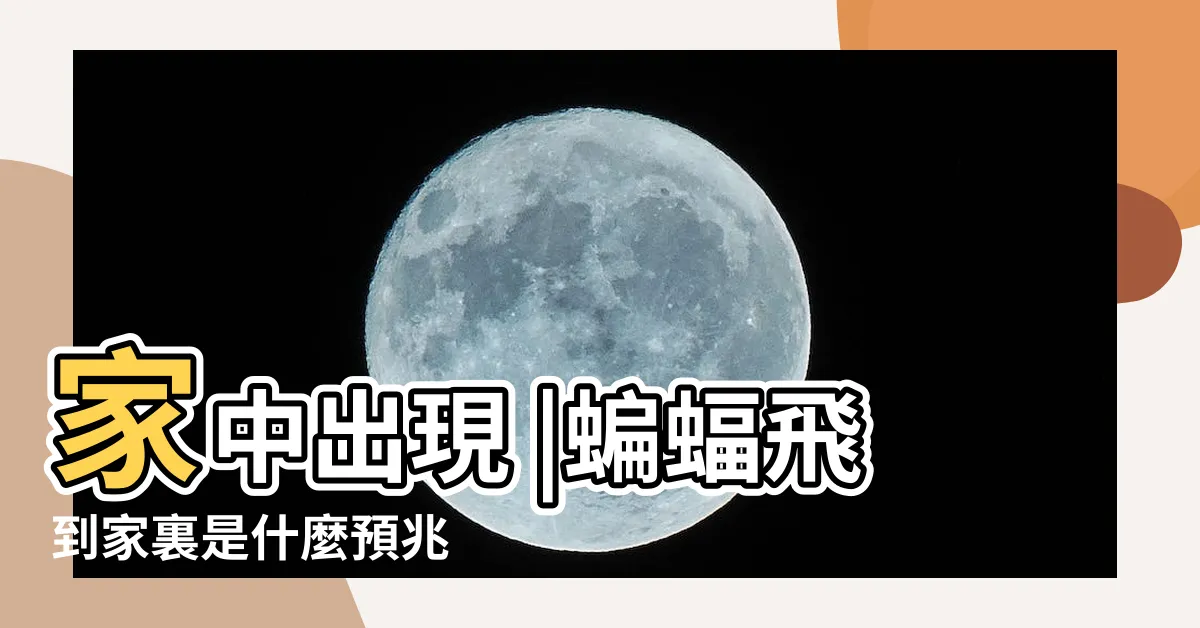 【家裏進蝙蝠】家中出現 |蝙蝠飛到家裏是什麼預兆 |屋主準備暴富了 |