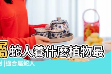 【屬蛇犯太歲養什麼植物】屬蛇人養什麼植物最旺財 |適合屬蛇人的旺財植物 |屬蛇人忌養什麼植物 |