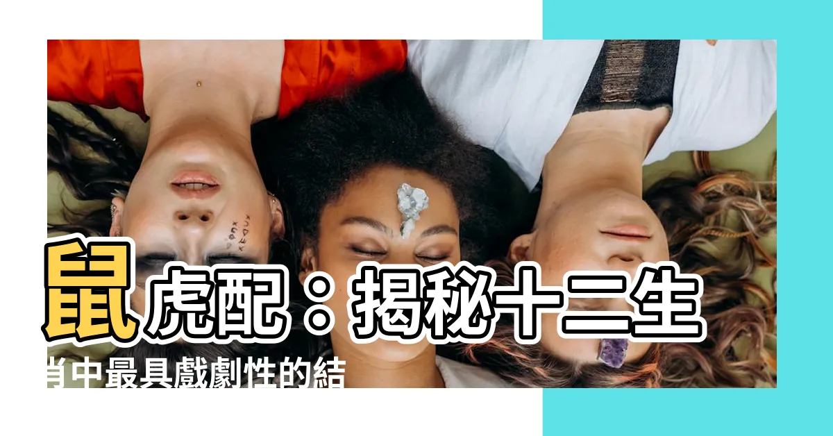 【鼠虎配】鼠虎配：揭秘十二生肖中最具戲劇性的結合！