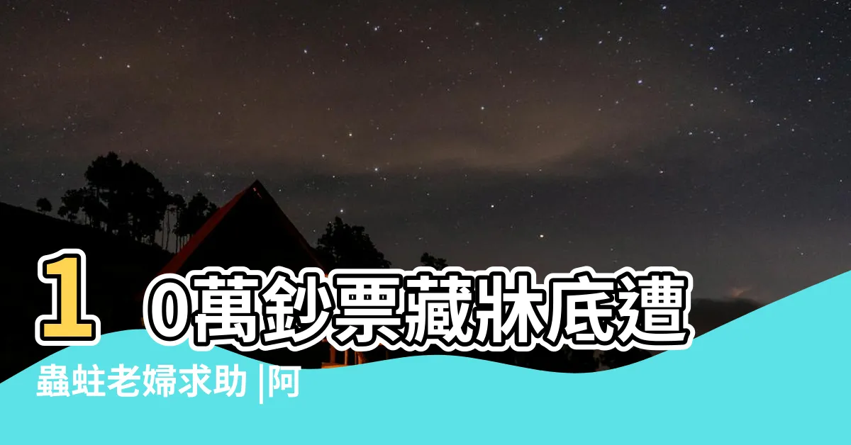 【錢被蟲蛀】10萬鈔票藏牀底遭蟲蛀老婦求助 |阿嬤朝聖之旅化成灰 |神人拼回9成成果驚 |