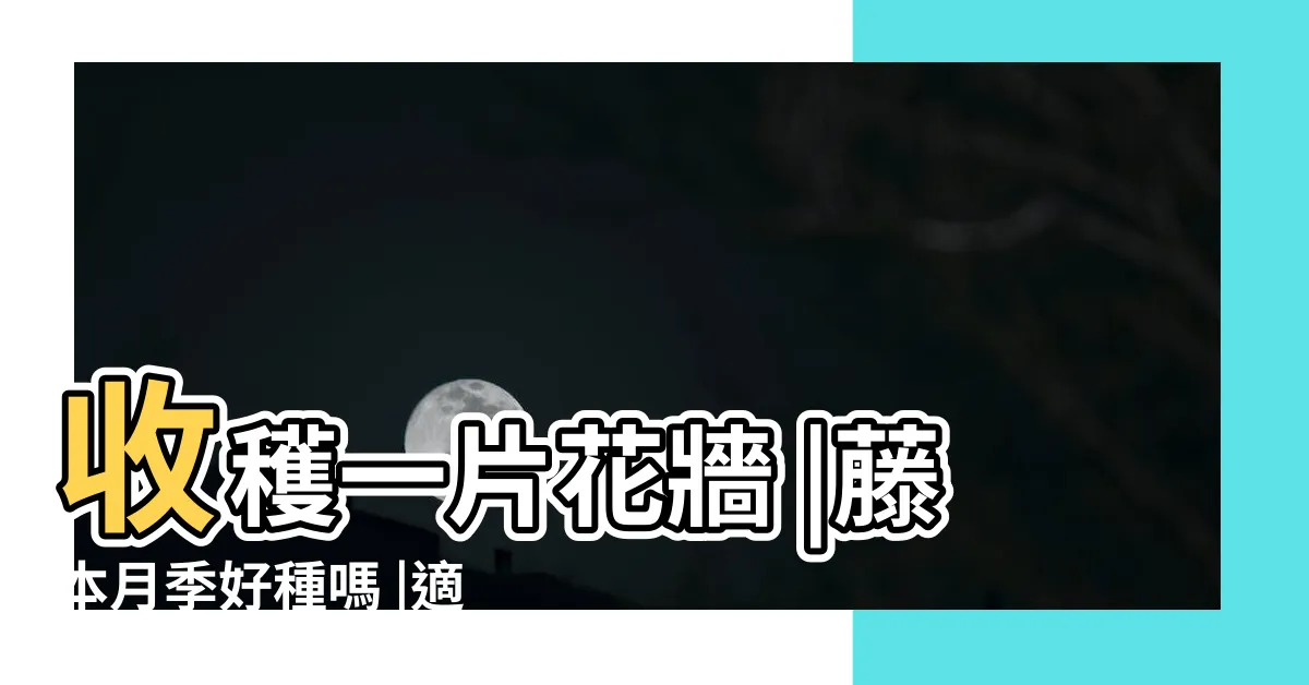 【台灣適合種藤本月季嗎】收穫一片花牆 |藤本月季好種嗎 |適合南方種植的藤蔓本月季及其栽培方法 |