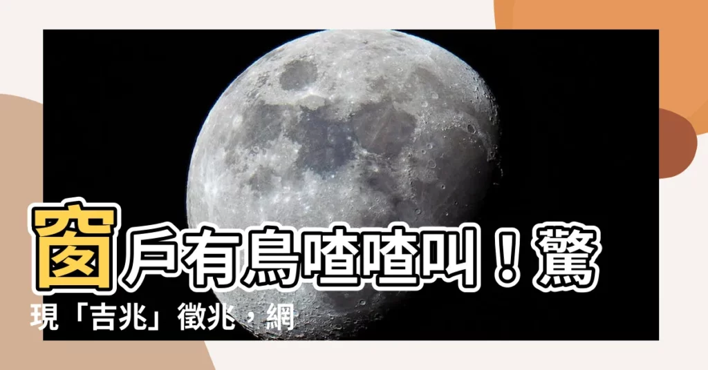 【窗户有鳥】窗户有鳥喳喳叫！驚現「吉兆」徵兆，網民嗨喊：發財、好運連連！