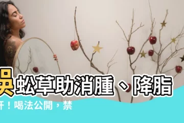 【蜈蚣草禁忌】蜈蚣草助消腫、降脂肪肝！喝法公開，禁忌必看