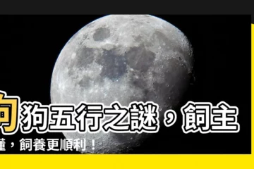 【狗的五行】狗狗五行之謎，飼主必懂，飼養更順利！