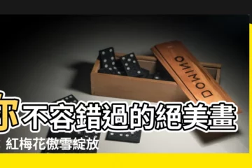 【紅梅花開】你不容錯過的絕美畫作：紅梅花傲雪綻放的盛況！
